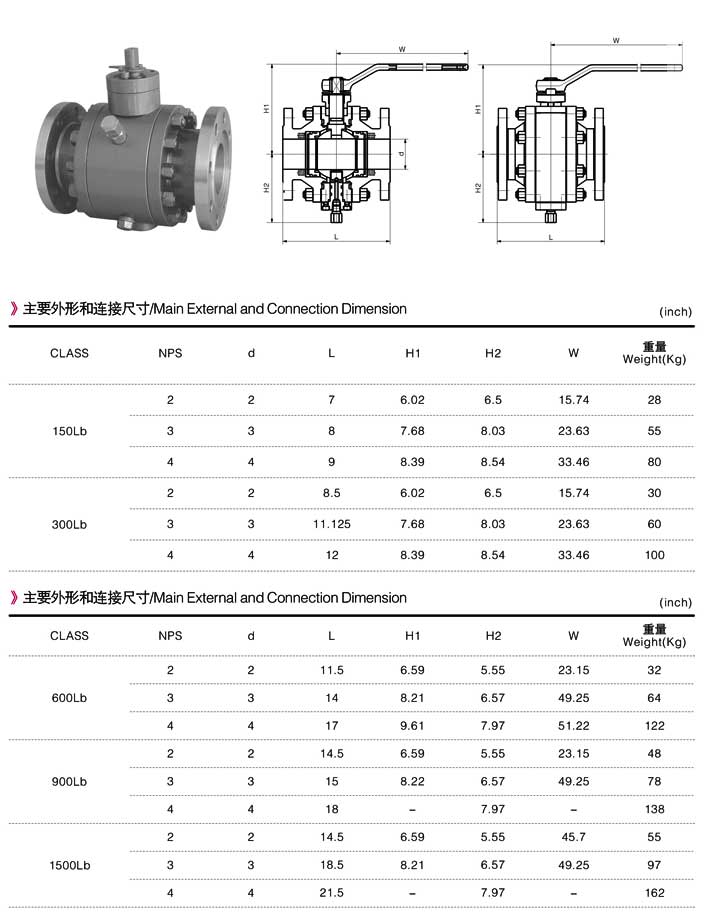ZGV-锻钢固定美标球阀系列1.jpg