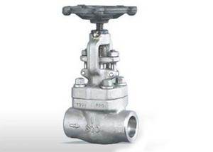 ZGV-磅级锻钢闸阀 (2).jpg